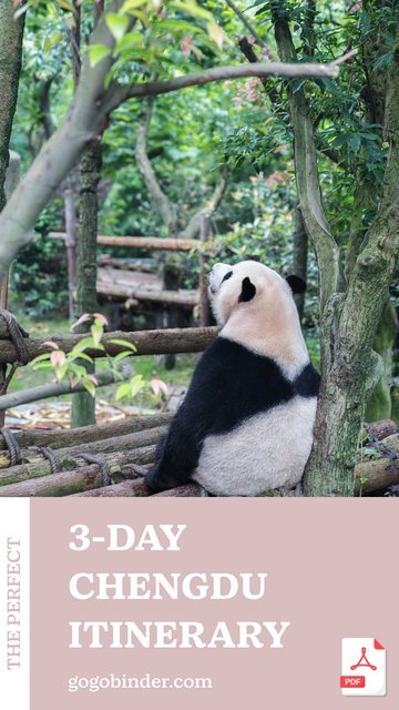 3-Day Chengdu Itinerary